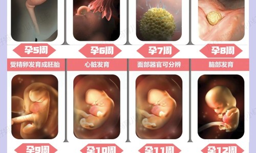 生孩子后睡眠质量差-生娃后睡眠不好网 | 生娃后睡眠不好的原因,生孩子之后睡眠